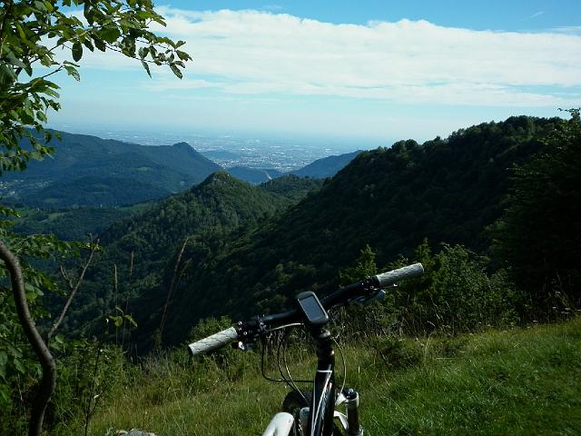 faggi 058.JPG